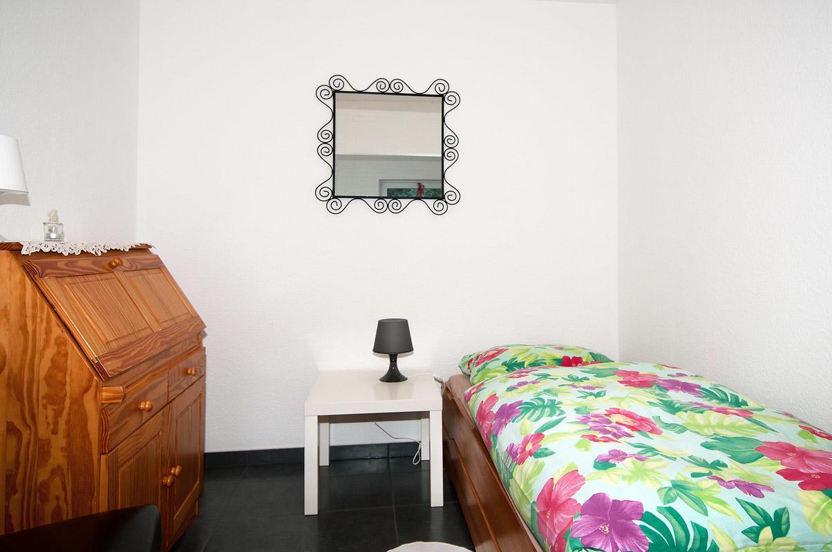 Landhotel Alte Muehle Modautal エクステリア 写真