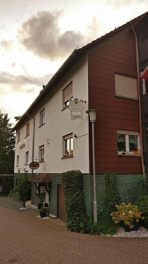 Landhotel Alte Muehle Modautal エクステリア 写真